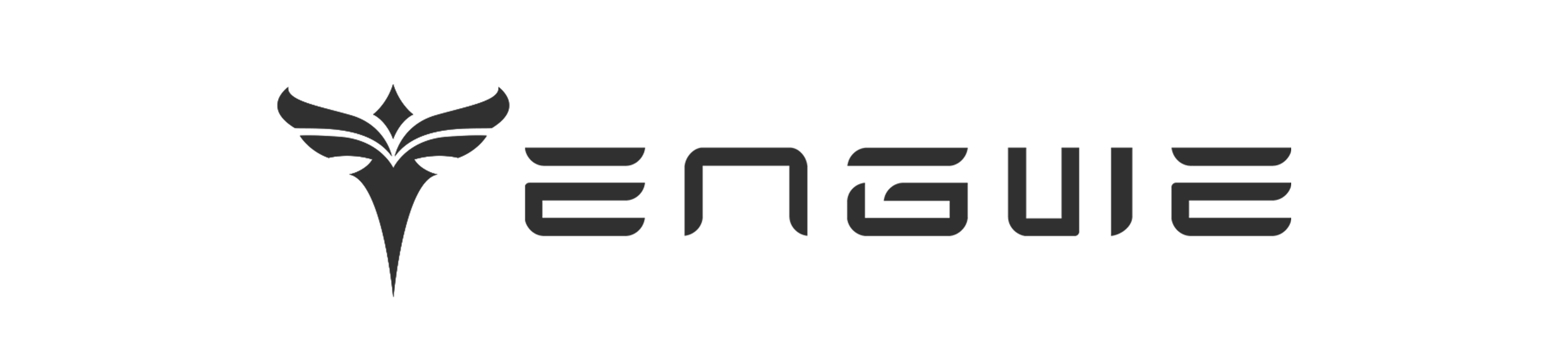engwe_logo_grey